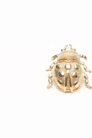 Dior Beetle Brooch