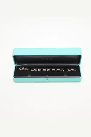 Tiffany & Co. Small Link Bracelet in Sterling