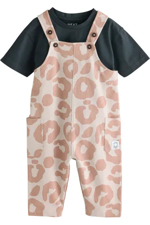 Next Setti
