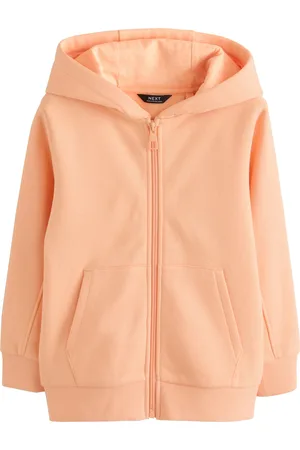 Next Collegetakki