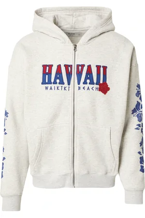 Hollister Collegetakki