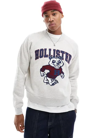 Hollister Grå cropped sweatshirt med motivprint i firkantet pasform