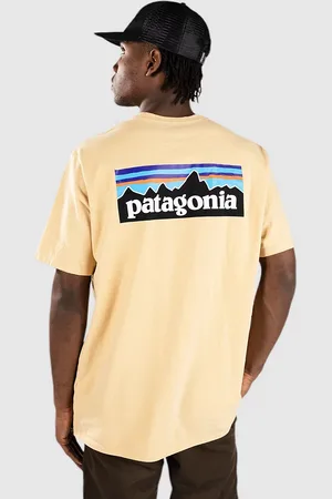 Patagonia P-6 Logo Responsibili T-paita