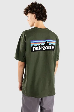 Patagonia P-6 Logo Responsibili T-paita