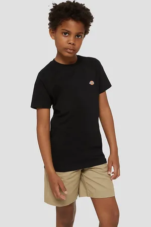 Dickies Mapleton T-Paita