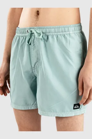 Quiksilver Everyday Surfwash Volley 15 Surffishortsit