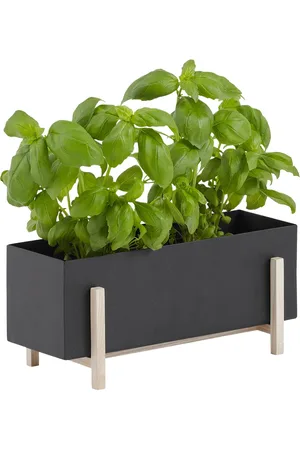 Design House Stockholm Botanic Herb Box Home Decoration Flower Pots Black