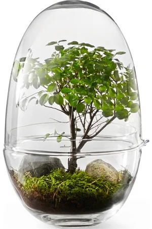 Design House Stockholm Grow Greenhouse Large Home Decoration Vases Big Vases Nude