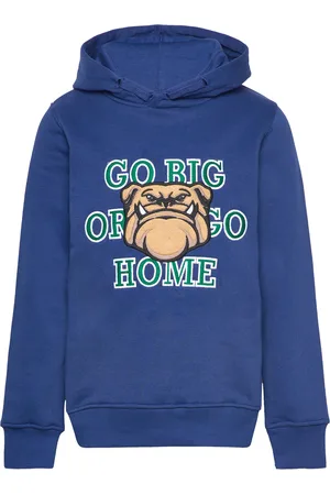The New Tnhaddon Hoodie Tops Sweat-shirts & Hoodies Hoodies Blue