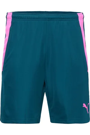 PUMA Teamliga Training Shorts 2 Sport Shorts Sport Shorts Blue