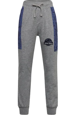 Jurassic World Pants Bottoms Sweatpants Grey