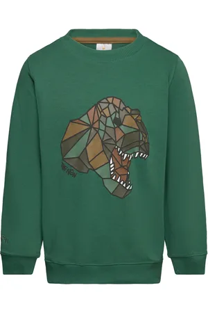 The New Tnlazaron Sweatshirt Tops Sweat-shirts & Hoodies Sweat-shirts Green