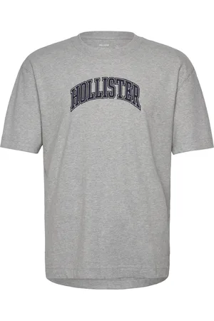 Hollister Hco. Guys Graphics Tops T-shirts Short-sleeved Grey