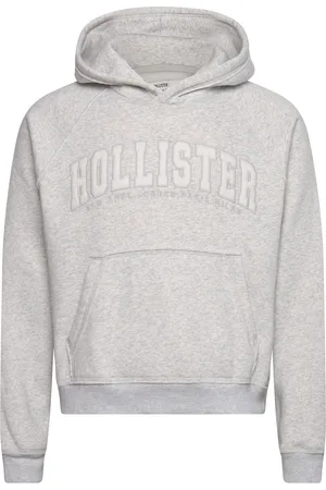 Hollister Hco. Guys Sweatshirts Tops Sweat-shirts & Hoodies Hoodies Grey