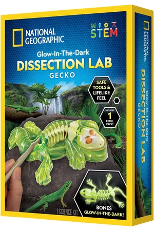 NATIONAL GEOGRAPHIC Gecko Dissection Lab Toys Experiments And Science Multi/patterned