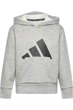 adidas J Bl Ft Hd 280 Tops Sweat-shirts & Hoodies Hoodies Grey