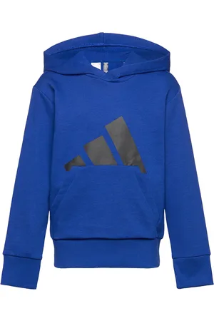 adidas J Bl Ft Hd 280 Tops Sweat-shirts & Hoodies Hoodies Blue
