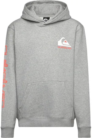 Quiksilver Omni Logo Hoodie Youth Tops Sweat-shirts & Hoodies Hoodies Grey