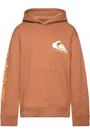 Quiksilver Omni Logo Hoodie Youth Tops Sweat-shirts & Hoodies Hoodies Brown