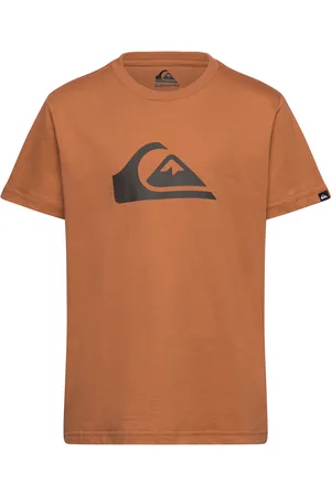 Quiksilver Ev Comp Logo Ss Yth Tops T-shirts Short-sleeved Brown