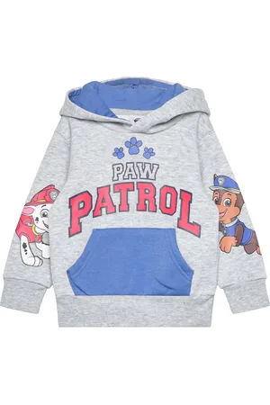 Paw Patrol Sweats Tops Sweat-shirts & Hoodies Hoodies Grey