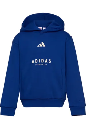 adidas J Allszn Gfx Hd Sport Sweat-shirts & Hoodies Hoodies Blue