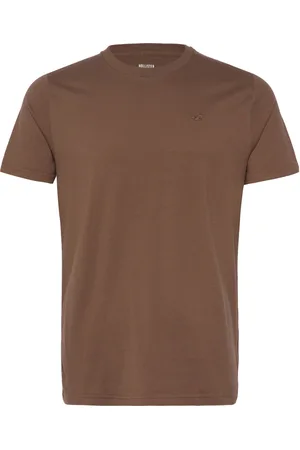 Hollister Hco. Guys Knits Tops T-shirts Short-sleeved Brown