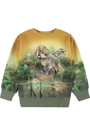 Molo Mattis Tops Sweat-shirts & Hoodies Sweat-shirts Green