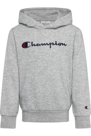 Champion Hooded Sweatshirt Sport Sweat-shirts & Hoodies Hoodies Grey
