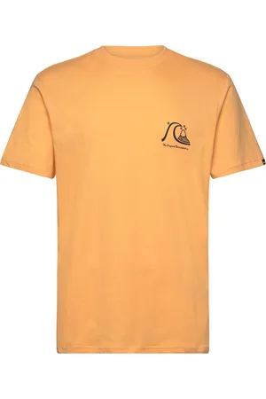 Quiksilver Evo Original Bs Ss Tee Sport Men Sports Clothes Sport Tops Sport T-shirts Yellow