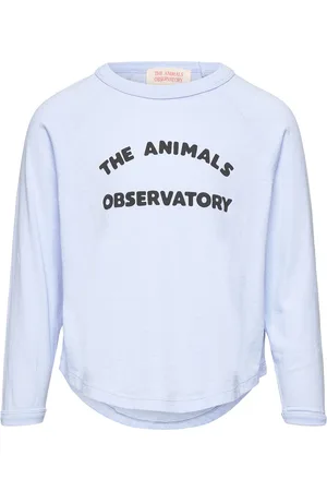 The Animals Observatory Anteater Kid Long Sleeve T-Shirt Soft Blue Tops T-shirts Long-sleeved T-shirts Blue