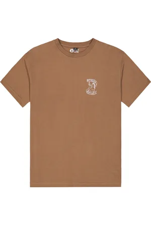 Picture Organic Clothing Terra Tee Sport Men Men Sports Clothes Sport Tops Sport T-shirts Brown