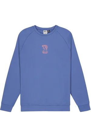 Picture Organic Clothing Terra Crew Sport Men Sport Clothing Sport Sweat-shirts & Hoodies Sport Sweat-shirts Blue