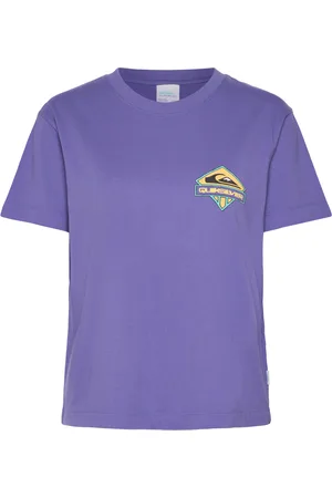 Quiksilver Standard Ss Tee Sport Sport Clothing Sports Tops & T-shirts Sport T-shirts Purple