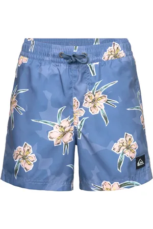 Quiksilver Everyday Straight Volley Yth14 Uimashortsit Blue