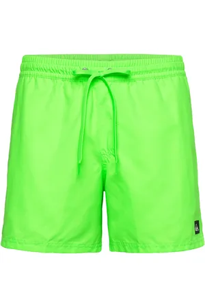 Quiksilver Everyday Solid Volley 15 Sport Sport Clothing Sport Swimwear Sport Swim Shorts Green