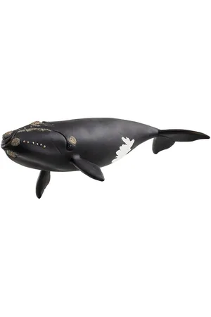 Schleich North Atlantic Right Whale Toys Playsets & Action Figures Animals Black