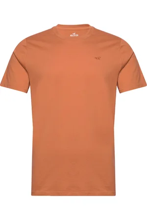 Hollister Hco. Guys Knits Tops T-shirts Short-sleeved Orange