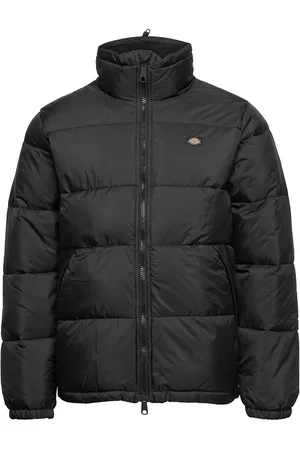 Dickies Waldenburg