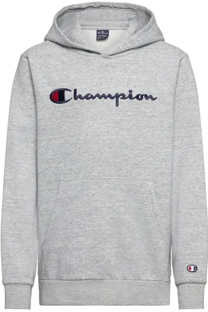 Champion Hooded Sweatshirt Grey