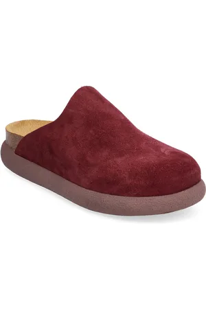 Scholl Sl Ivy Suede Burgundy