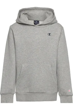 Champion Hooded Sweatshirt Grey