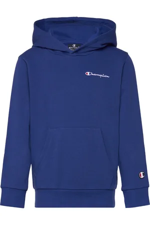 Champion Hooded Sweatshirt Blue