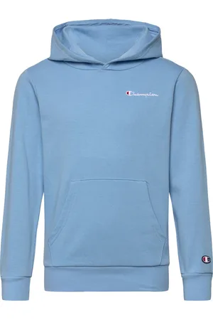 Champion Hooded Sweatshirt Blue