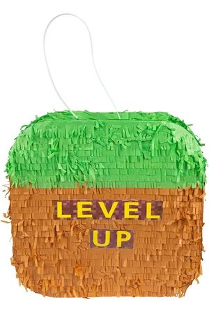 Joker Pinata Foldable Level Up Patterned