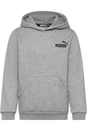 PUMA Ess Small Logo Hoodie Fl B Grey