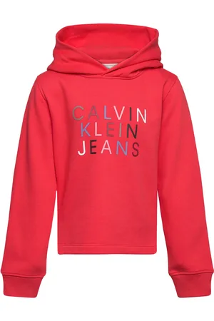 Calvin Klein Colour Logo Fleece Hoodie Red