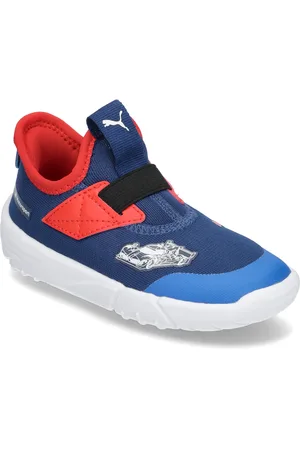 PUMA Bmw Mms Slipkart Ac Inf Blue