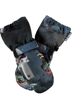Molo Igor Navy
