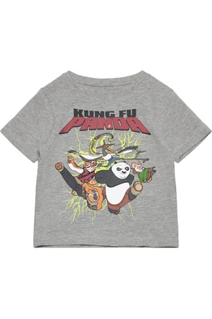 NAME IT Nmmjac Kungfupanda Nreg Ss Top Box Sky Grey